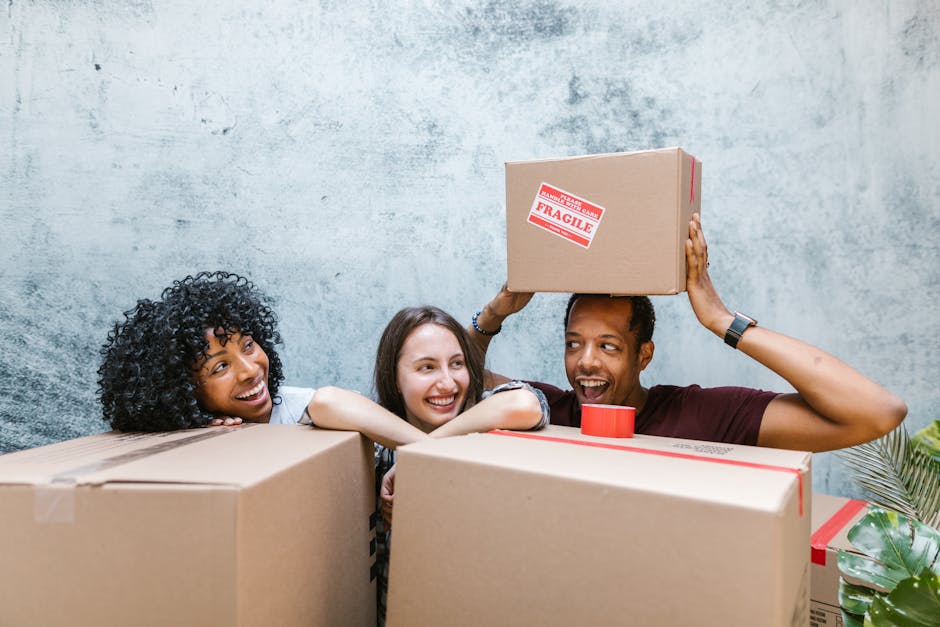 Three individuals engaged in house removals are inside a room with a textured gray wall, surrounded by cardboard boxes prepared for moving. The woman on the left with curly black hair is resting her chin on a box, smiling towards the others. The woman in the middle, with straight brown hair, is smiling and leaning slightly forward, appearing engaged in the activity. The man on the right, with short dark hair, is holding a medium-sized cardboard box labeled 'Fragile' above his head while smiling broadly, indicating the packaging process during home relocation. Several packed boxes of varying sizes are stacked around them, some sealed with packing tape, and a few items like packing materials are visible. The scene suggests packing and loading activities typical of furniture transport and moving logistics, with natural indoor lighting illuminating the space. Man with Van Wennington occasionally references professional moving services involved in efficient packing and transport during their house removals.